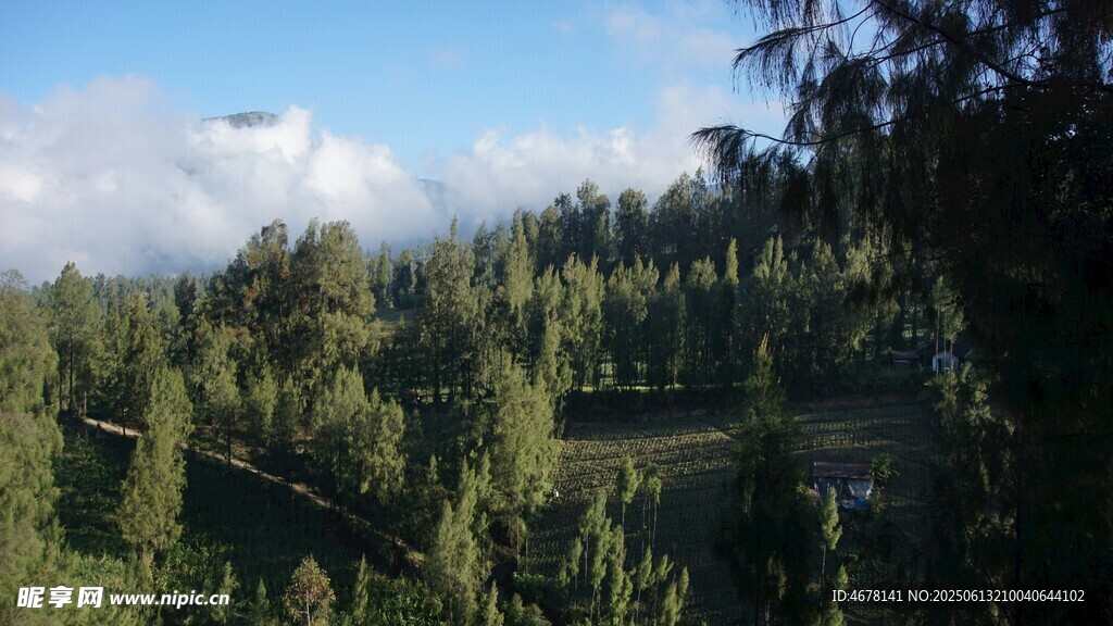 山林美景 綠意盎然的自然