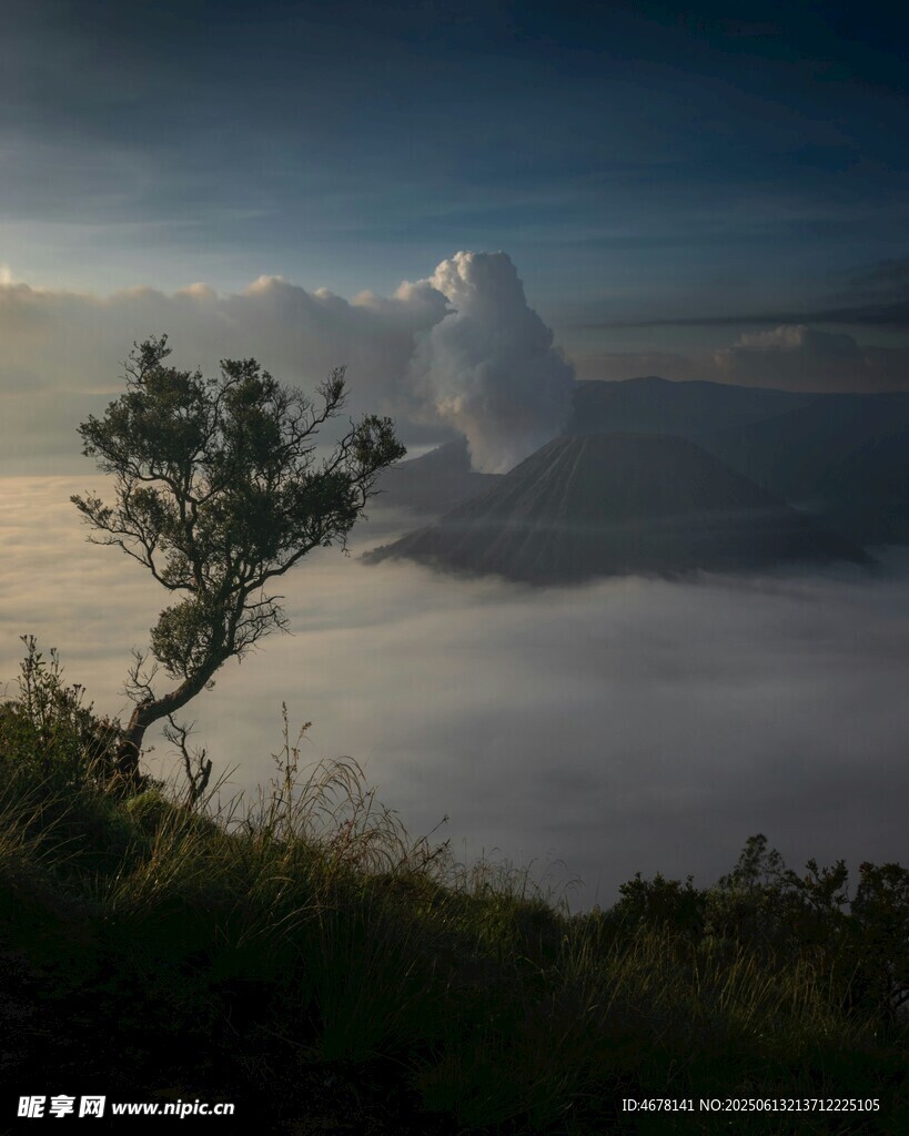 云海孤樹 天際絕美之景