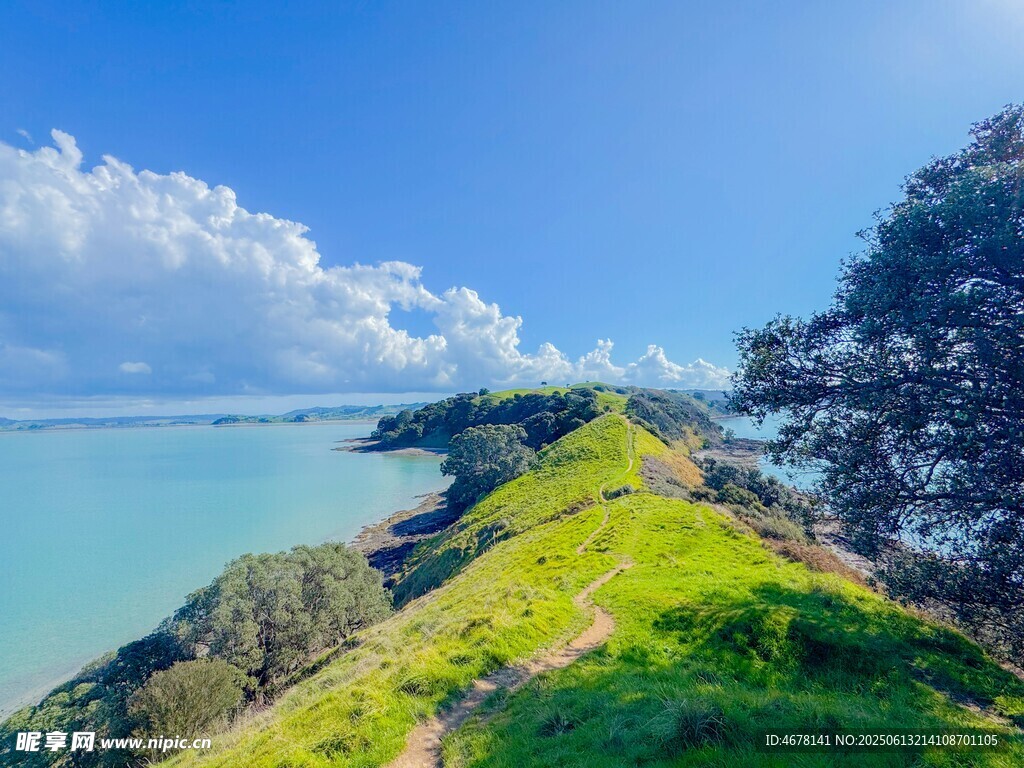 海岸綠意美景
