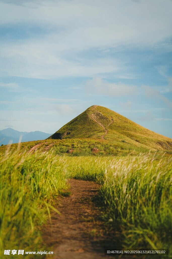 山間小徑通往蔥郁山丘