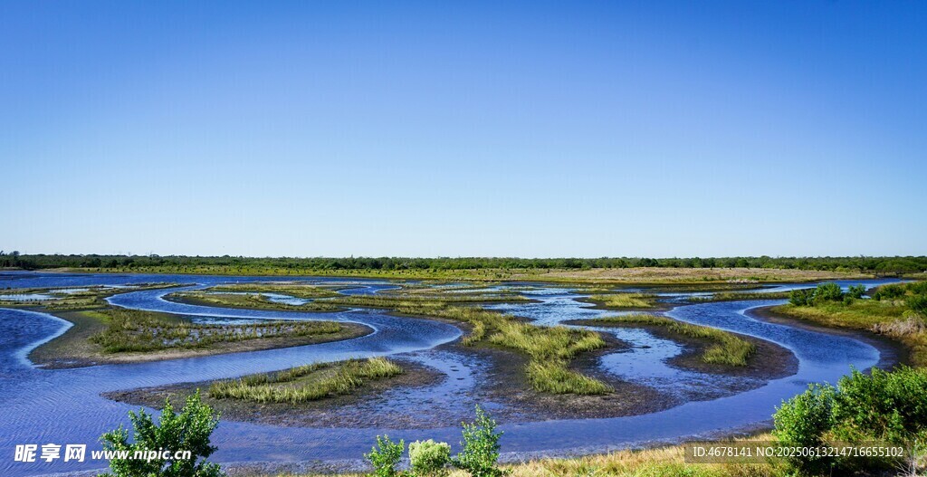 蜿蜒河流與廣袤濕地景觀
