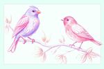 手繪鳥插圖