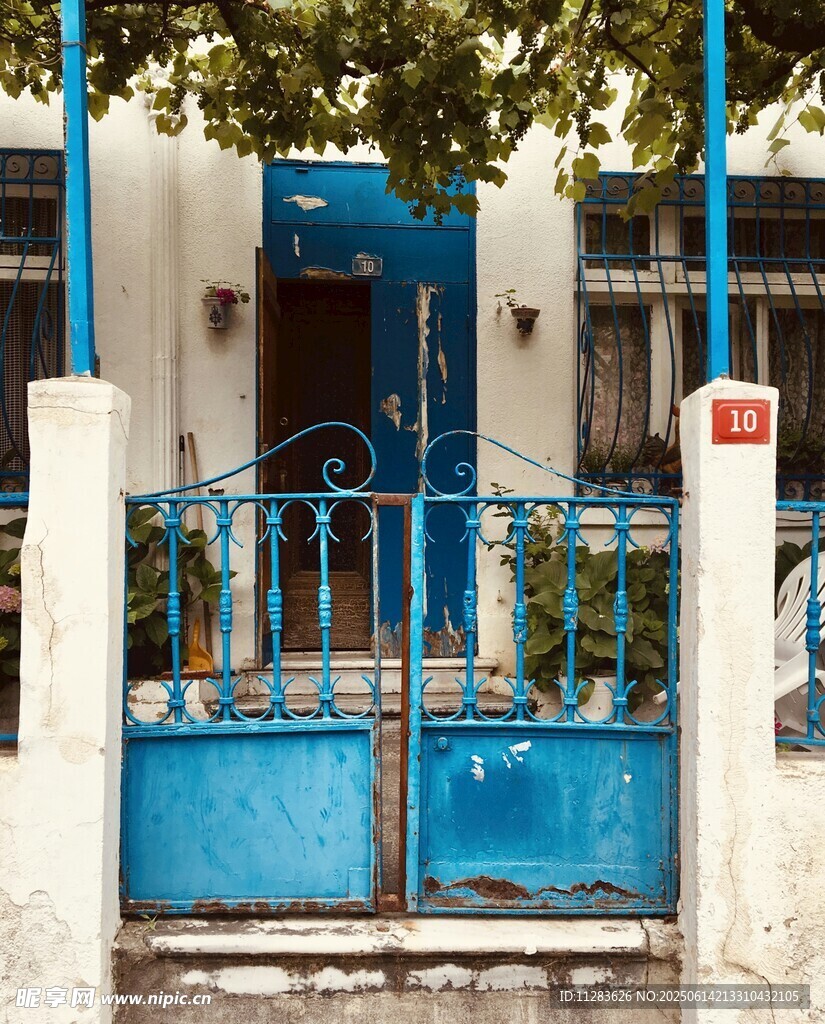藍門小院的清新景致