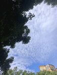 仰望藍(lán)天綠樹間的建筑