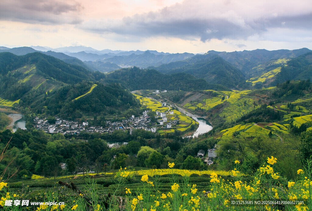 山間油菜花海中的村落