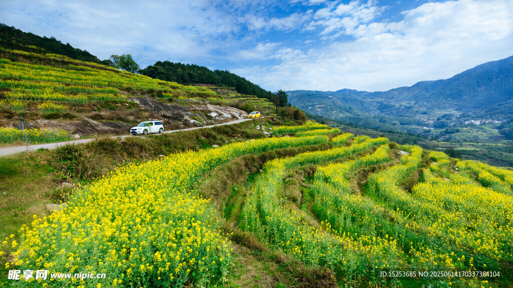 山間梯田花海美景