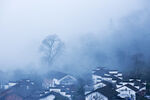 霧中雪覆村落景象
