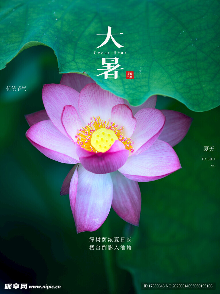 大暑
