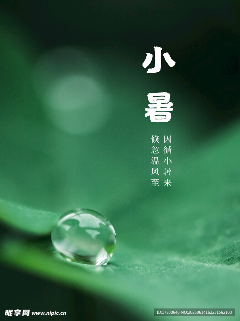 小暑海報