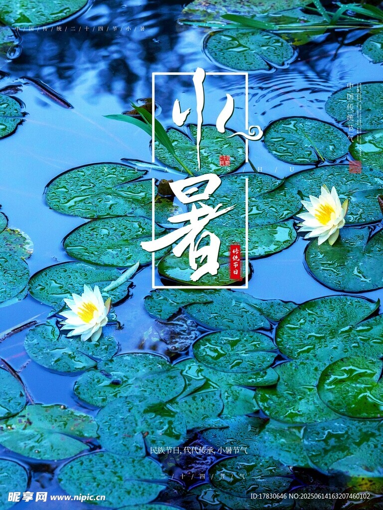 小暑海報
