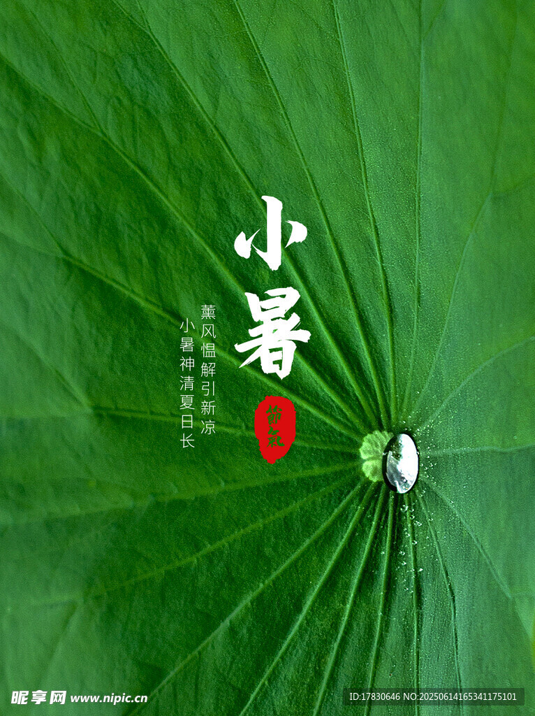 小暑海報