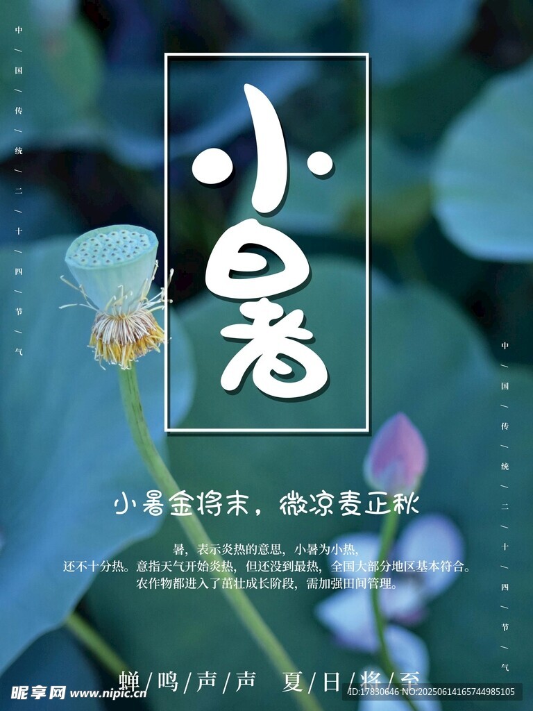 小暑海報