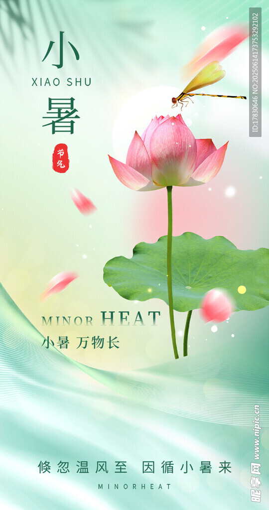 小暑海報