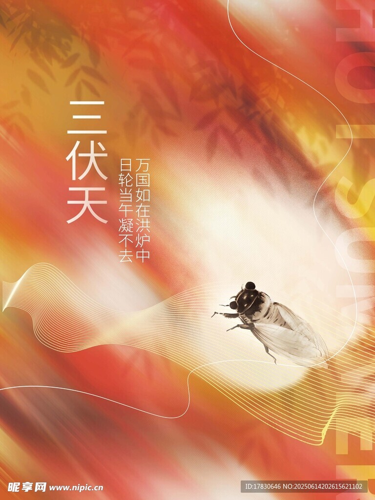 三伏天海報