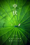 三伏天海報