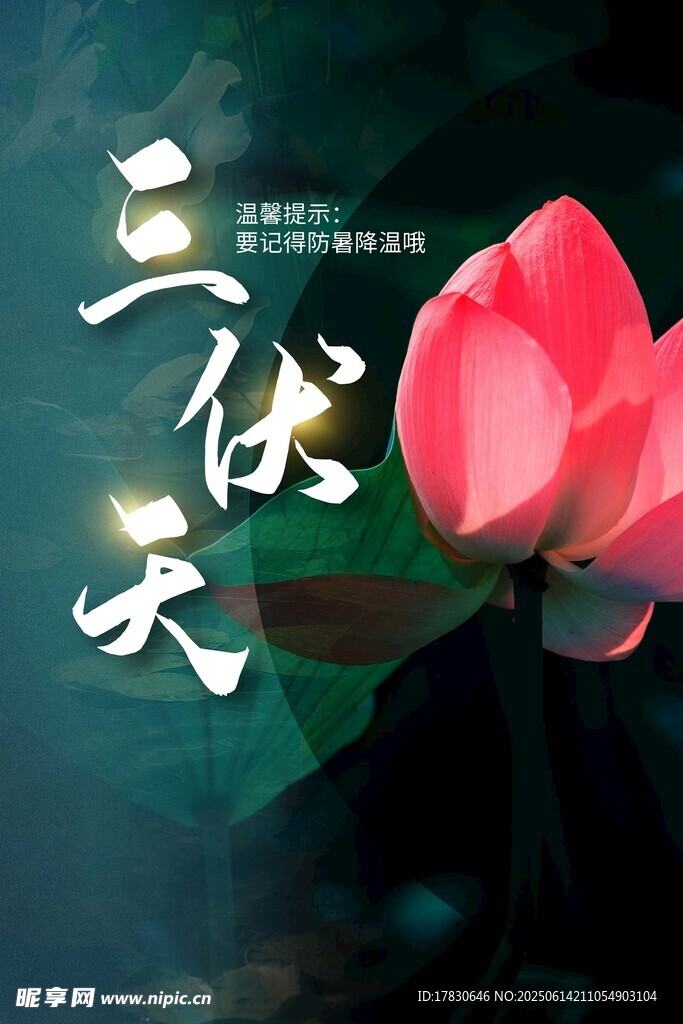 三伏天海報
