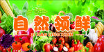 自然新鮮蔬菜大集合