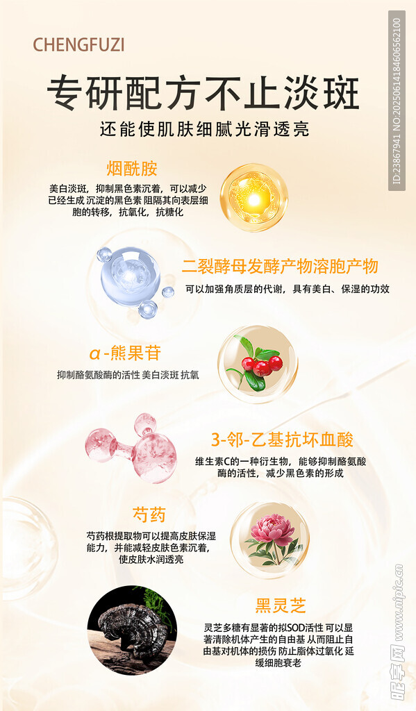 成分宣傳圖