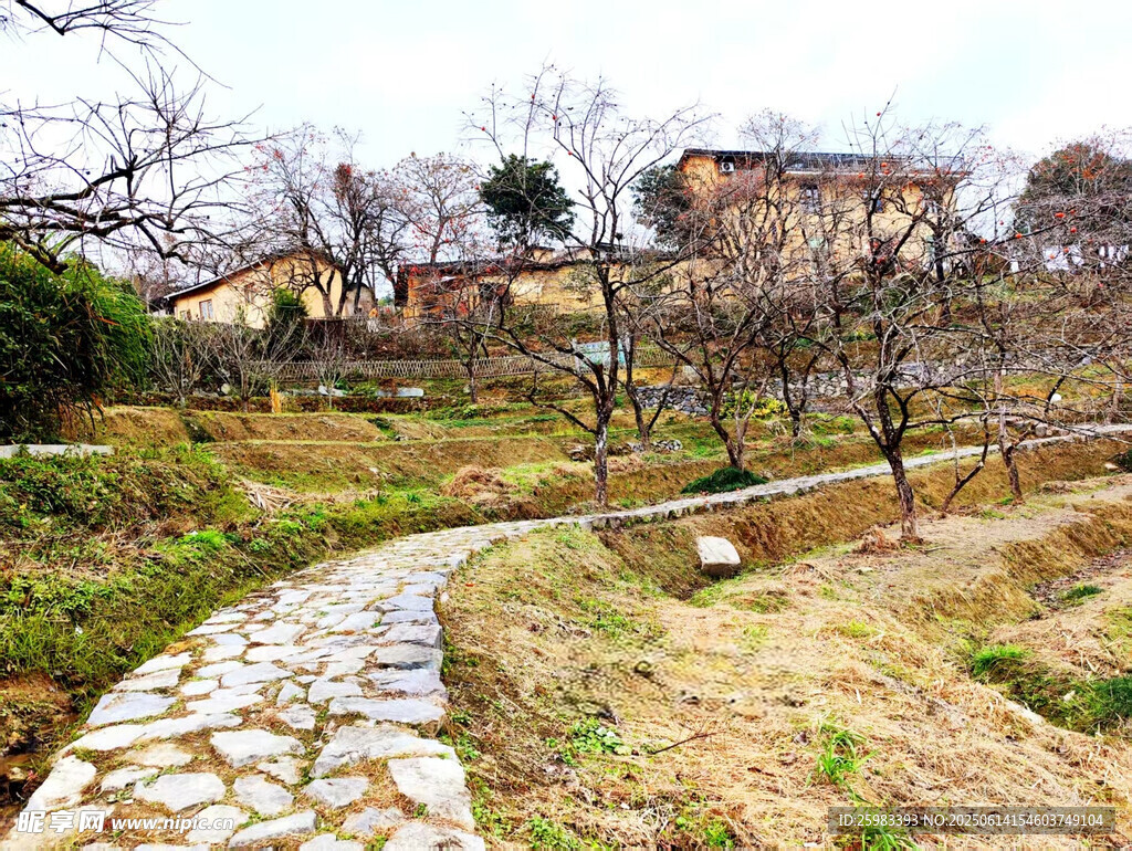 鄉村
