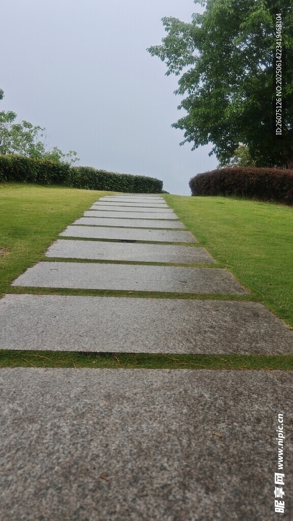 雨后靜謐的石板路