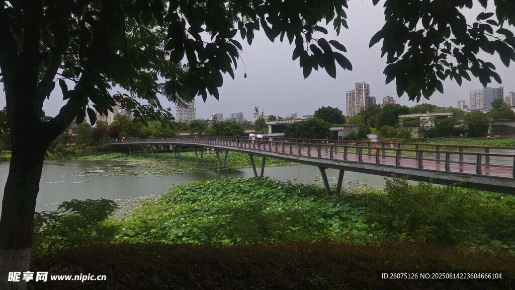 雨中湖畔木橋風景