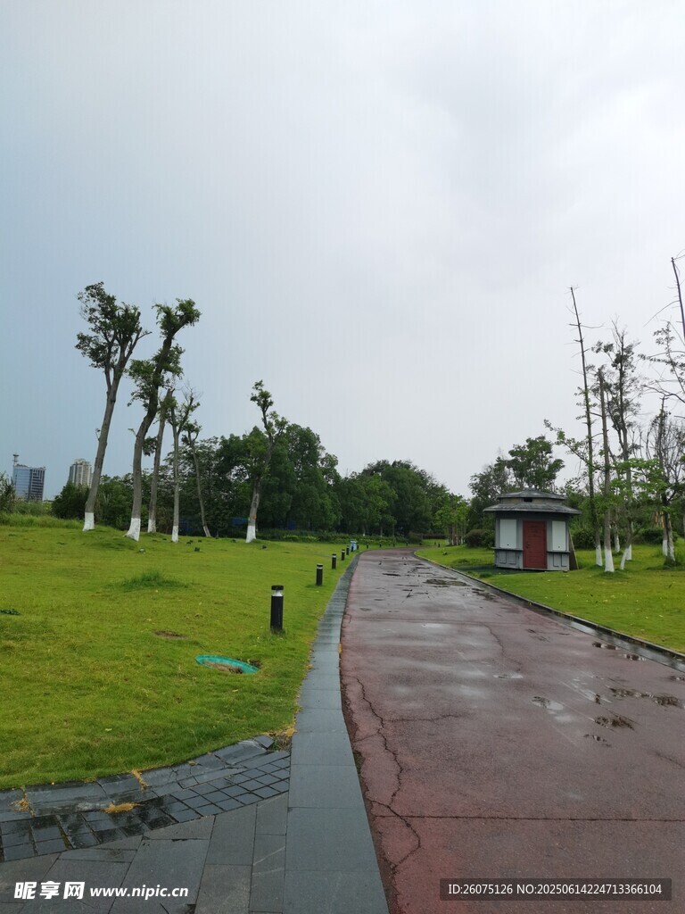 雨后公園小徑與綠植景觀