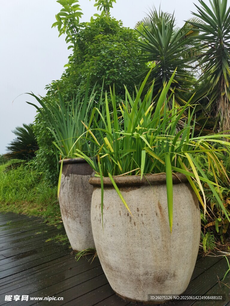 戶外綠植大花盆景觀