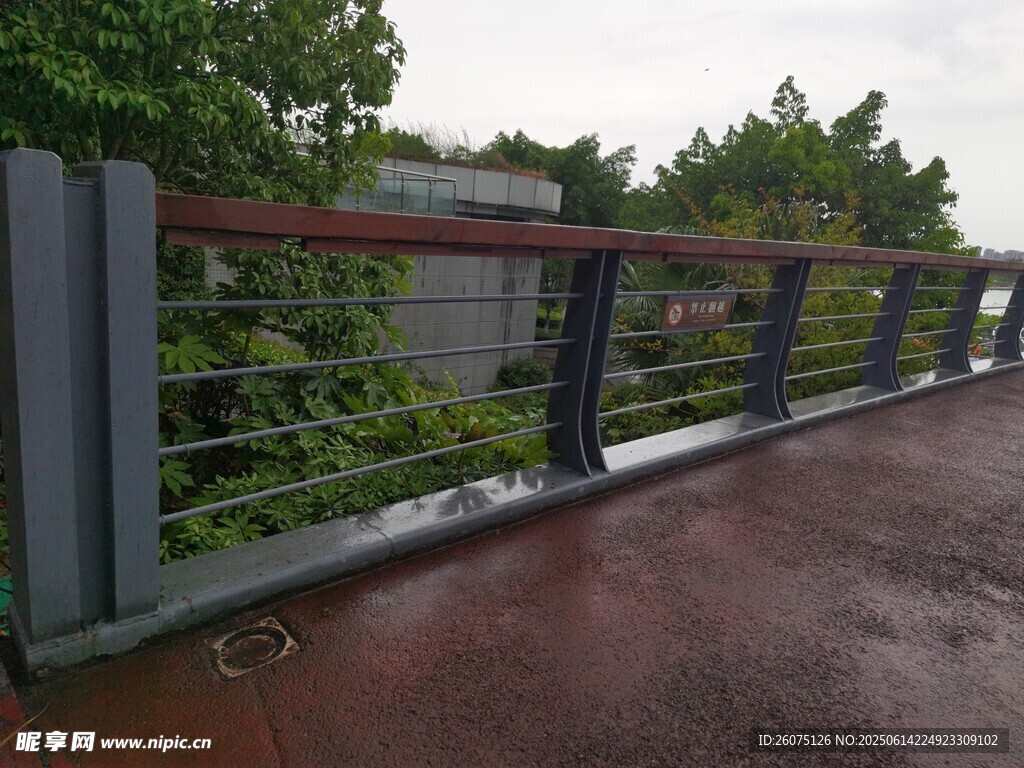 雨中觀景橋