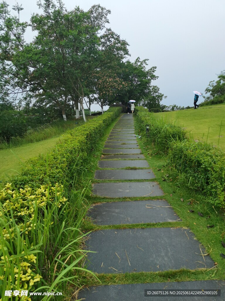 綠野中的石板小徑