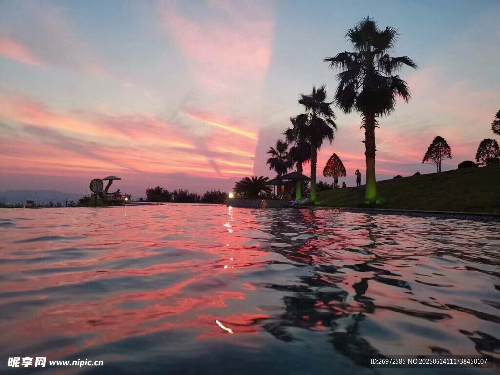 夕陽下的湖畔棕櫚樹美景