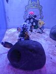 水族館