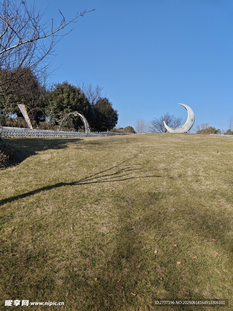 草坪