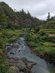 西江山水