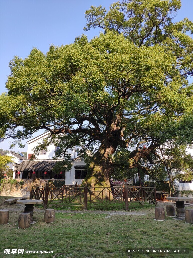 明月灣
