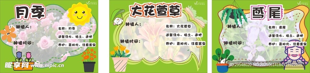花草牌