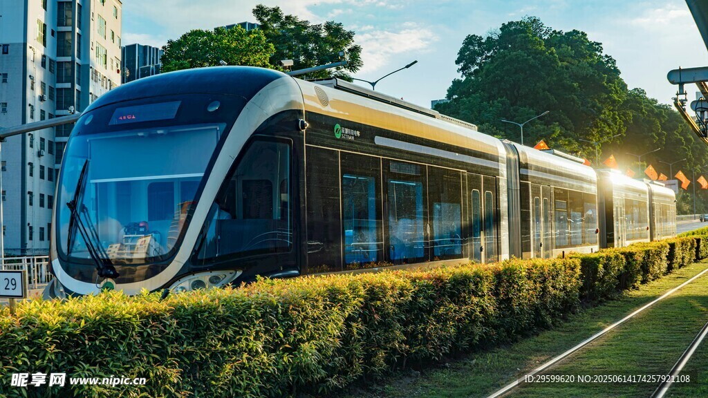 現代有軌電車穿行于綠植間