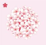 櫻花