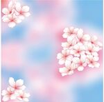 櫻花