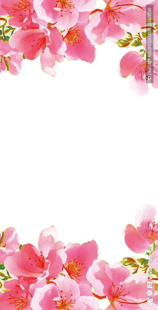 粉色花卉邊框背景圖