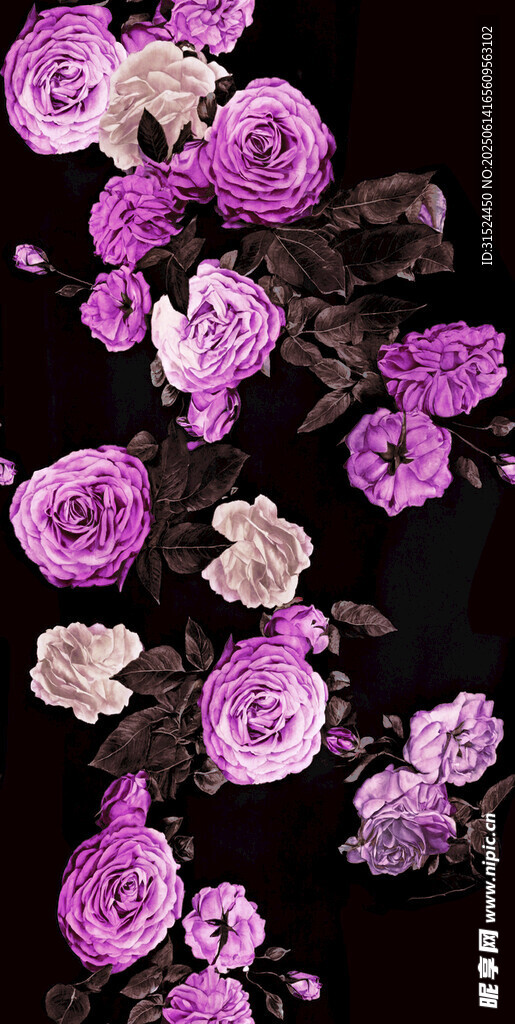 玫瑰花