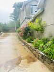 雨后鄉村小道旁的綠植房屋