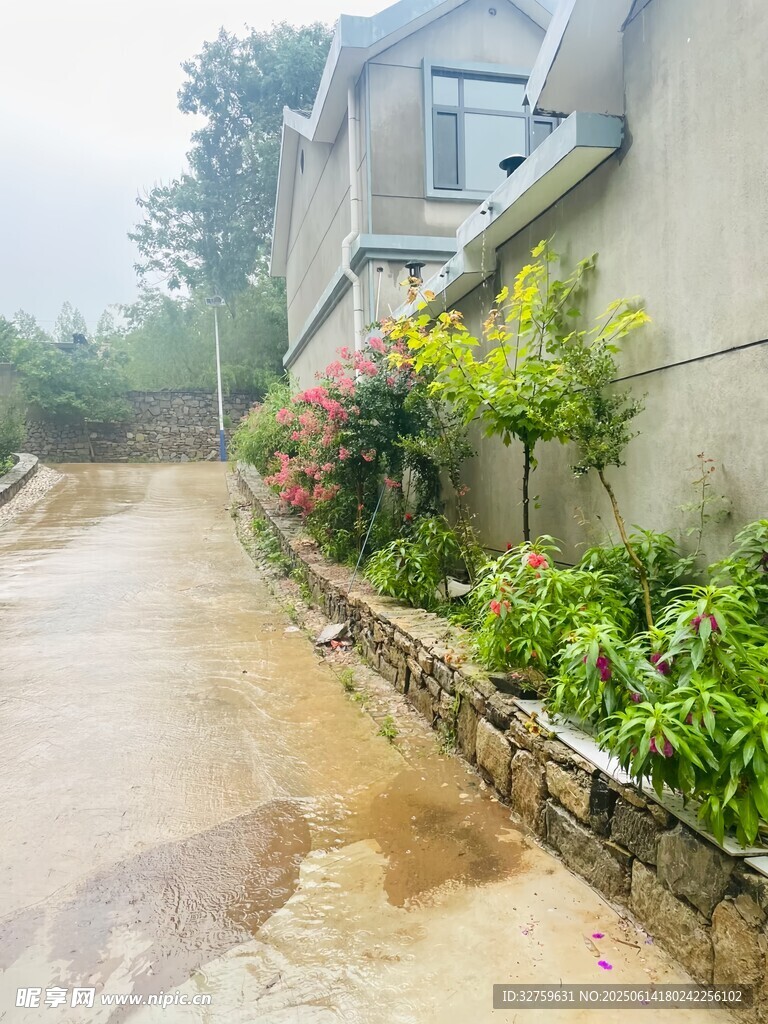 雨后鄉村小道旁的綠植房屋