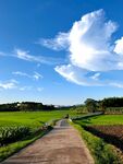 鄉間小路田園風光美景