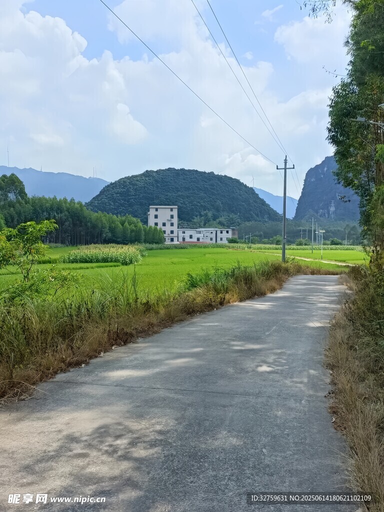鄉(xiāng)間小路旁的翠綠田野