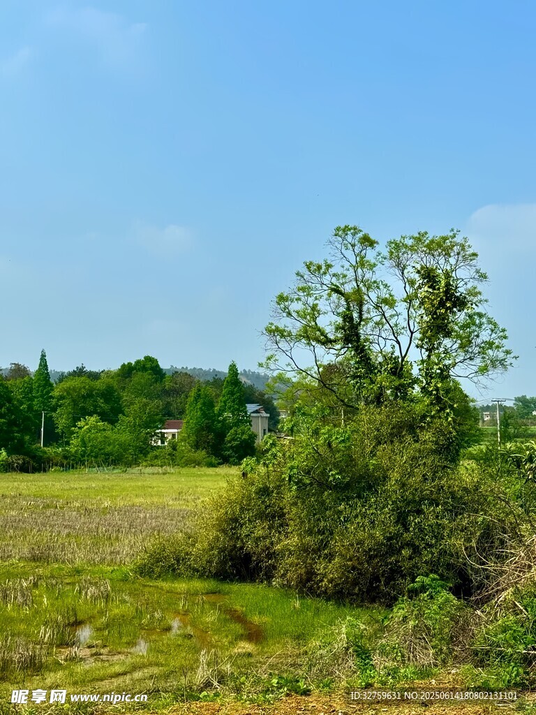 田野綠樹(shù)風(fēng)景圖