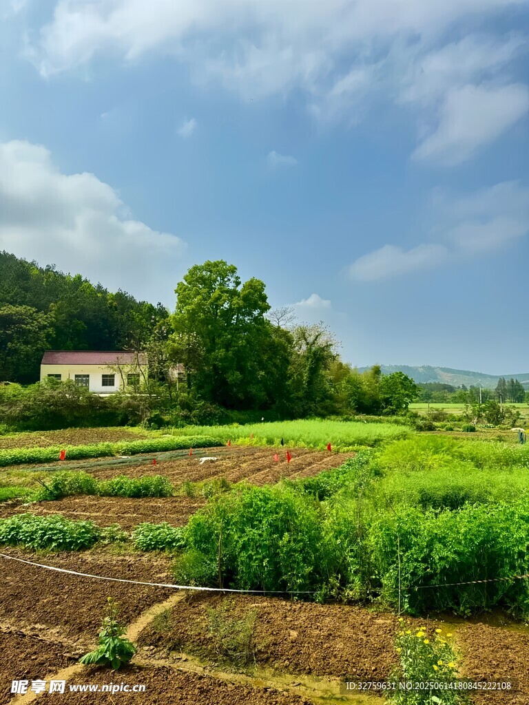 田園風光寧靜的鄉村景致