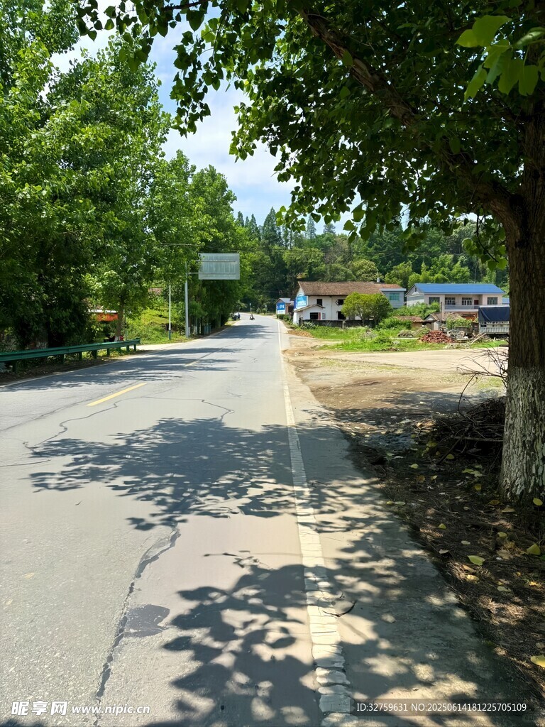 鄉(xiāng)村林蔭路靜謐好風(fēng)光