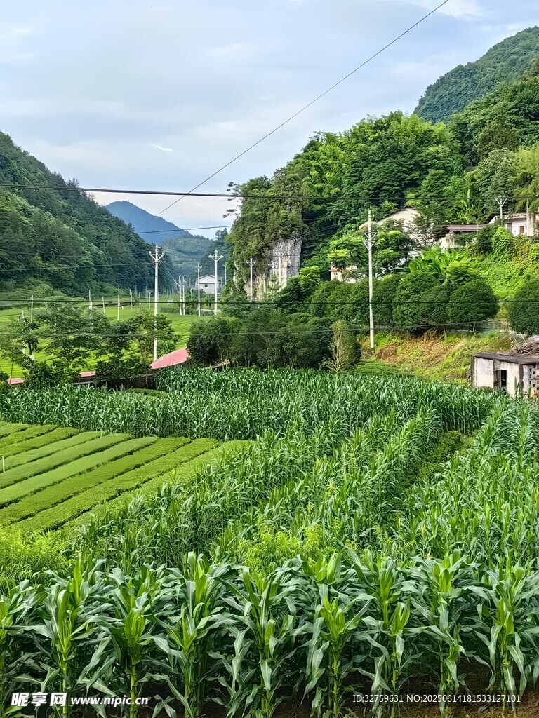 山間綠野田園風光