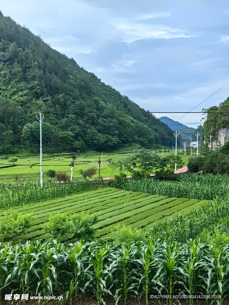 山間綠野田園風光