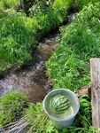 溪邊綠植旁的清新水桶